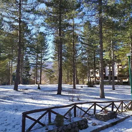 Per 6 Nel La Ginestra * Pescasseroli